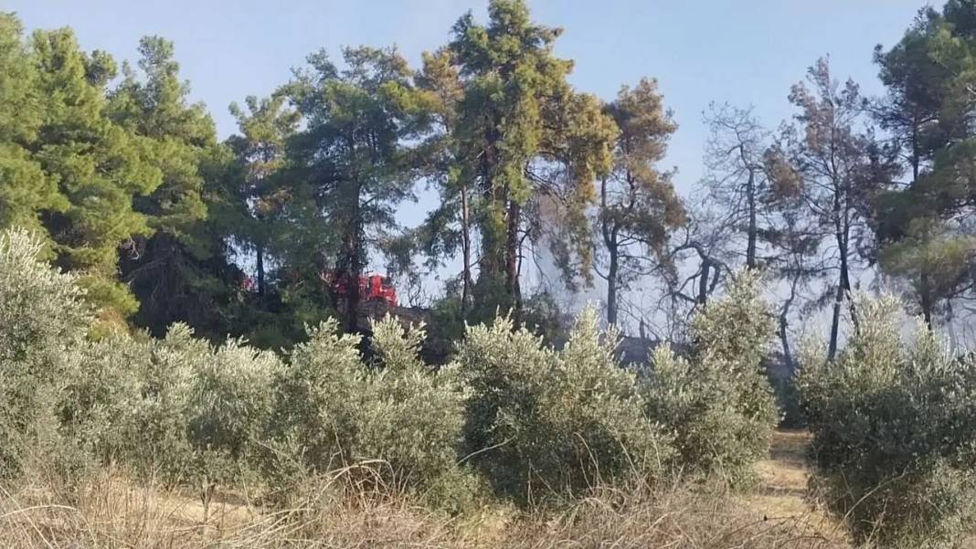 Manavgat’ta Korkutan Yangın Kontrol Altına Alındı! 3